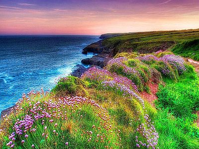 Irland 2019/2020